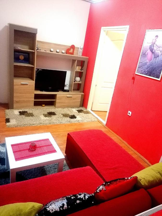 Jednosoban Stan Centar Apartment Pirot Exterior photo