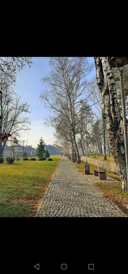 Jednosoban Stan Centar Apartment Pirot Exterior photo