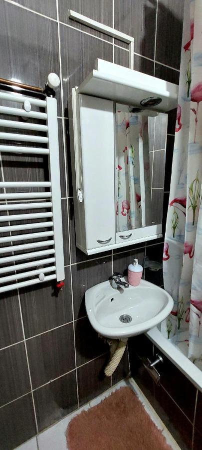 Jednosoban Stan Centar Apartment Pirot Exterior photo